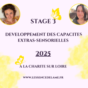 2026-Charité sur Loire (Bourgogne) :Stage 3 de développements des capacités extra-sensorielles en Immersion