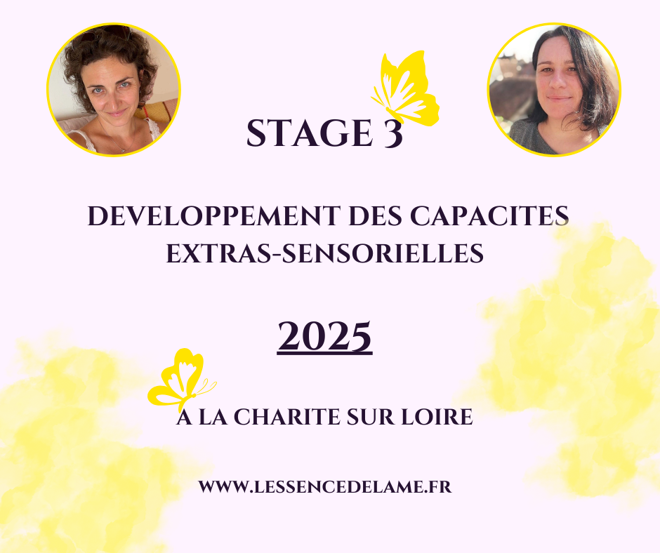 2026-Charité sur Loire (Bourgogne) :Stage 3 de développements des capacités extra-sensorielles en Immersion