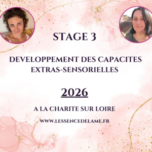 2026-Charité sur Loire (Bourgogne) :Stage 3 de développements des capacités extra-sensorielles en Immersion