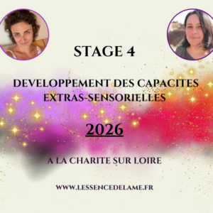 2026-Charité sur Loire (Bourgogne) :Stage 4 de développements des capacités extra-sensorielles en Immersion (Copie)